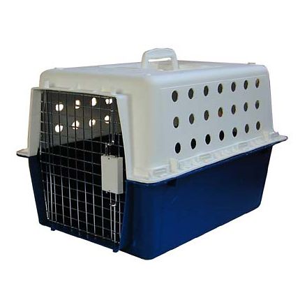 pp50 dog crate