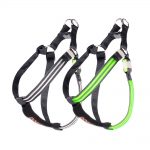 DOGlite Double Trouble LED Harness
