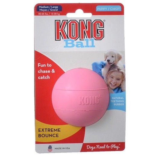 kong puppy ball