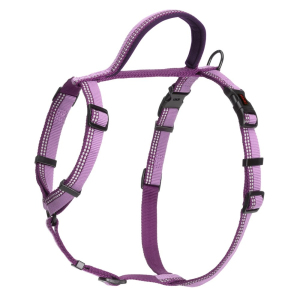 Halti Walking Harness - Purple