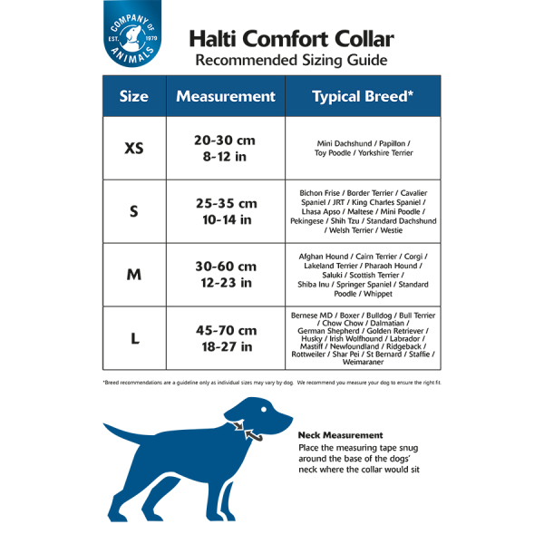 Halti Comfort Dog Collar - Purple - Image 3