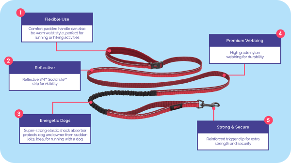 Halti Active Lead - Image 2