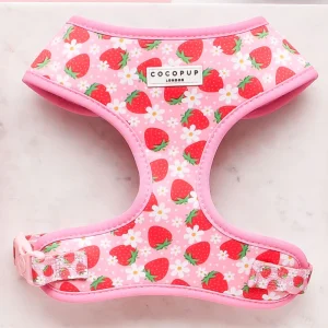 Cocopup London Adjustable Neck Harness - Pupberry Fields