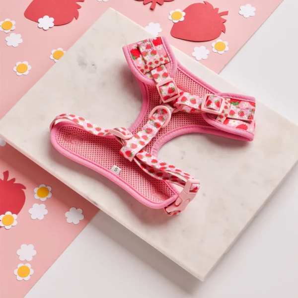 Cocopup London Adjustable Neck Harness - Pupberry Fields - Image 2