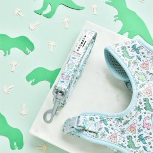 Cocopup London Lead - Dinopaws