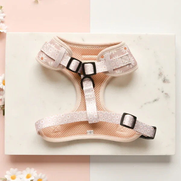 Cocopup London Adjustable Neck Harness - Daisy Chain - Image 2