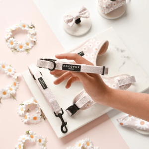Cocopup London Dog Collar - Daisy Chain