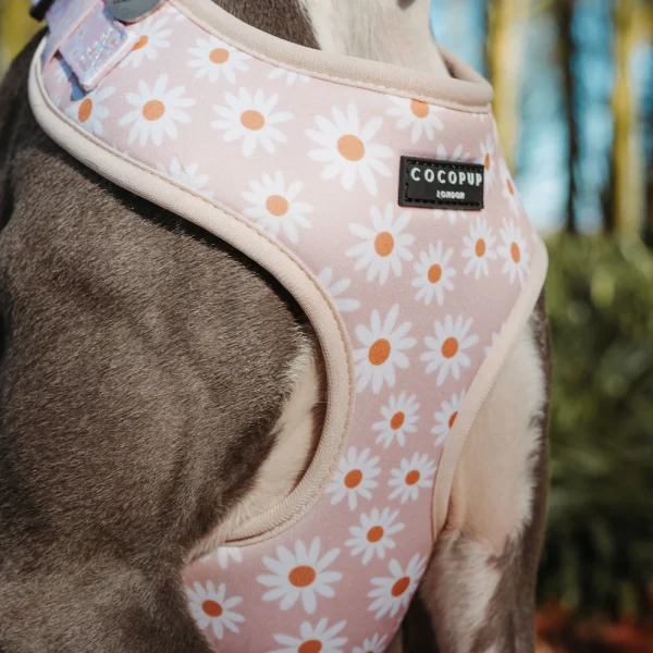 Cocopup London Adjustable Neck Harness - Daisy Chain - Image 5