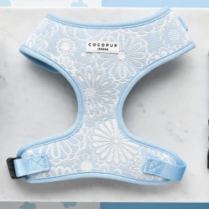Cocopup London Adjustable Neck Harness LUXE - Baby Blue Flower