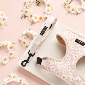 Cocopup London Lead - Daisy Chain