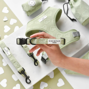 Cocopup London Dog Collar LUXE - Sage Heart