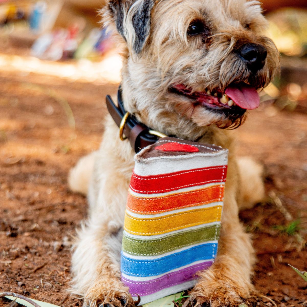 Georgie Paws Rainbow Cake - Image 2
