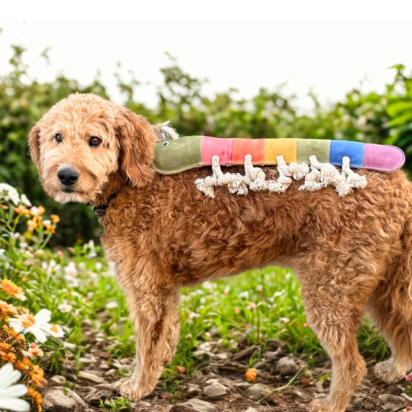 Georgie Paws Giant Gerti the Grub - Rainbow - Image 2
