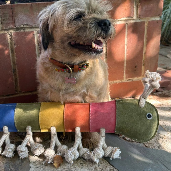 Georgie Paws Giant Gerti the Grub - Rainbow - Image 3