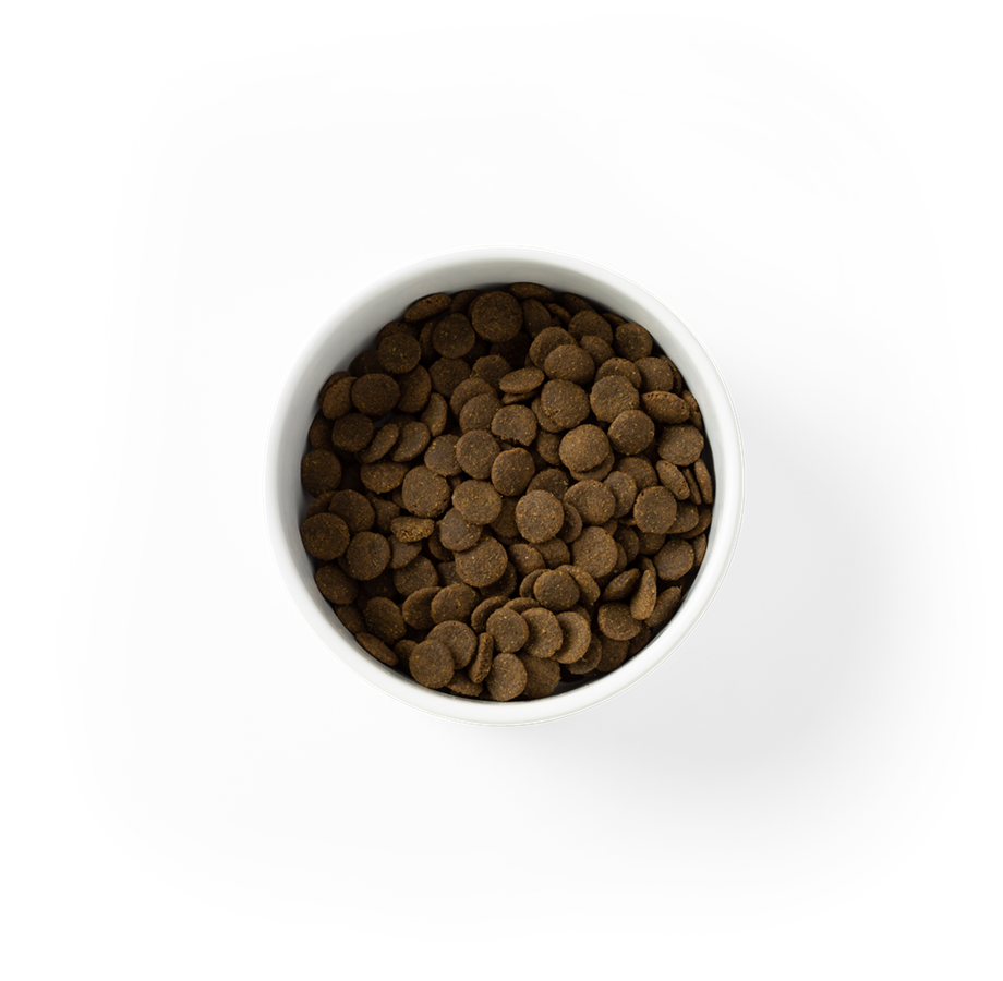 SavourLife Grain-Free Salmon - Image 3