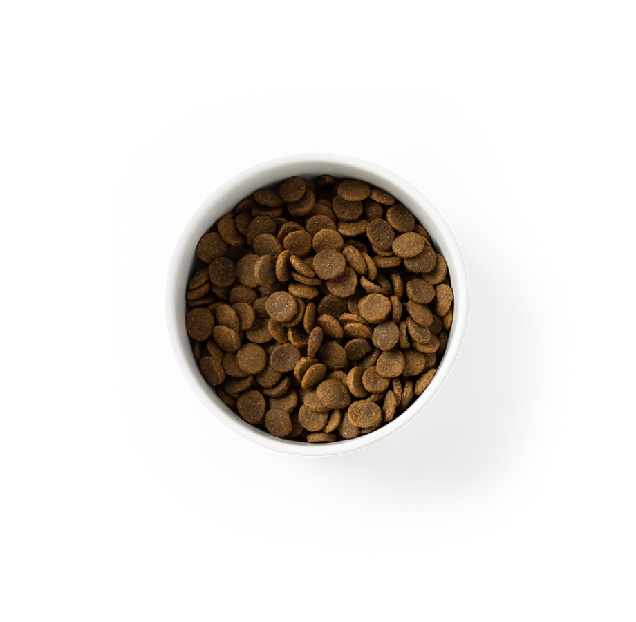 SavourLife Grain-Free Chicken - Image 4